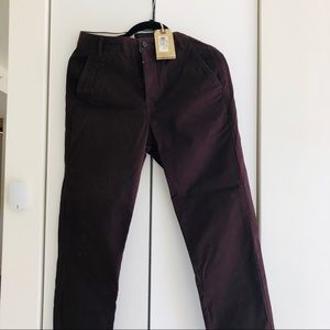NEW All saints Chino (Color: Oxblood)